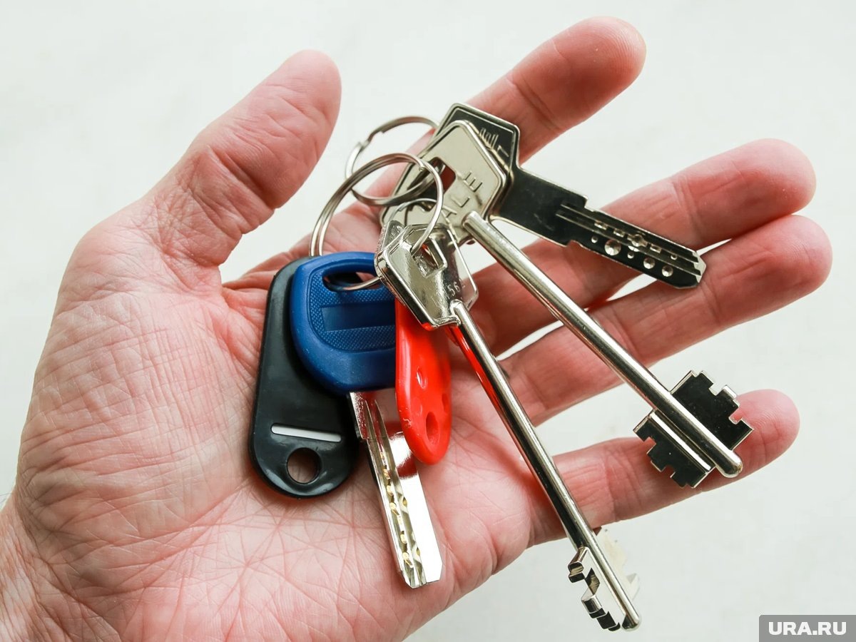     Новая квартира нужна до конца февраля