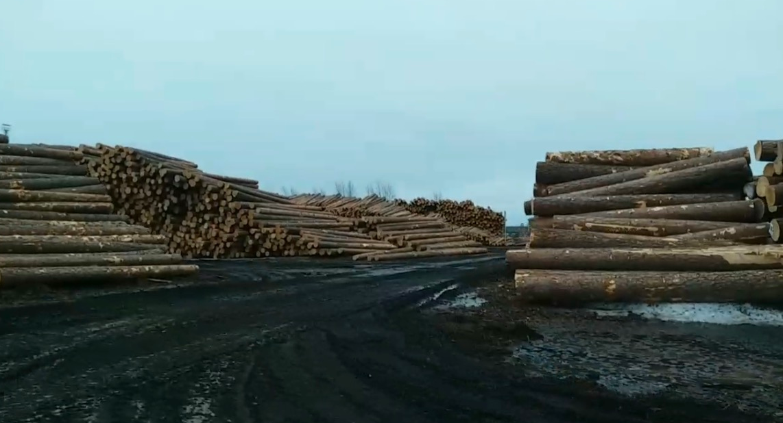 Фото: пресс-служба Челябинской таможни