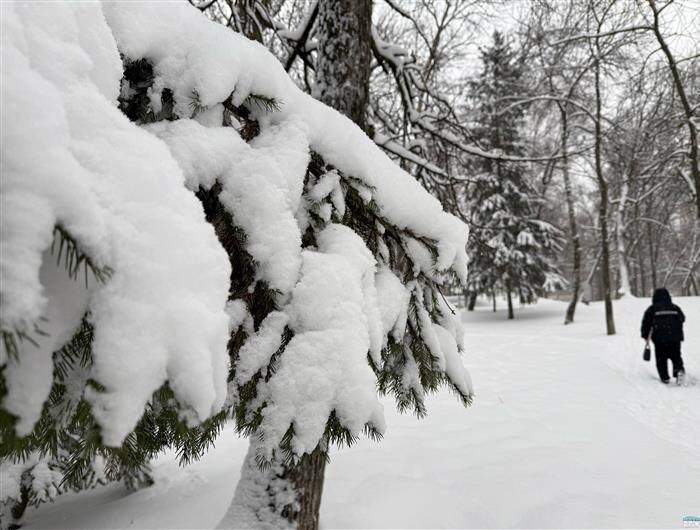    ФОТО: Белова Александра