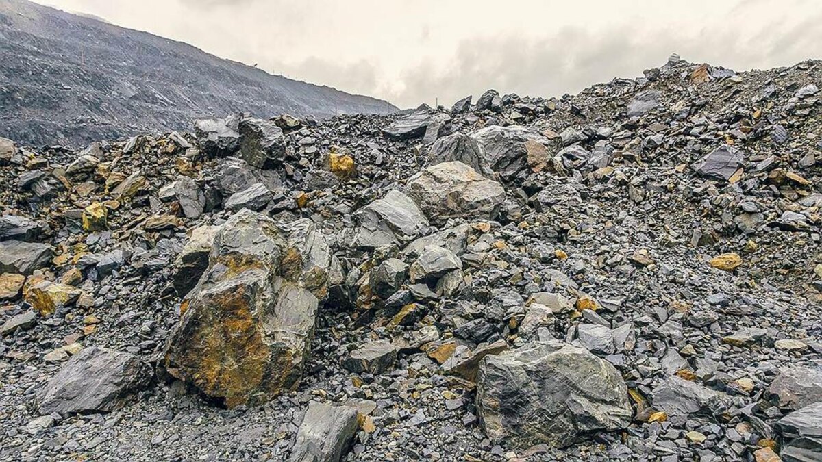 Фото: Олег Харсеев / Коммерсантъ