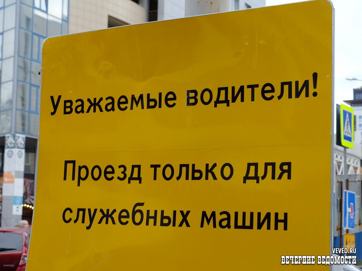     Фото: Владислав Постников / Вечерние ведомости