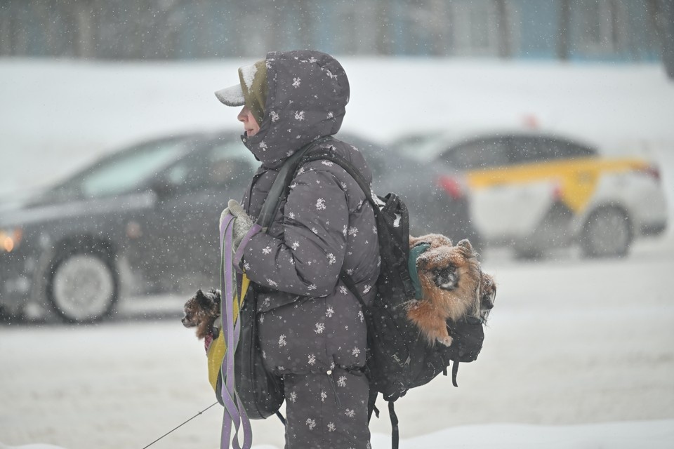    Прогноз погоды на выходные в Ижевске Евгения ГУСЕВА