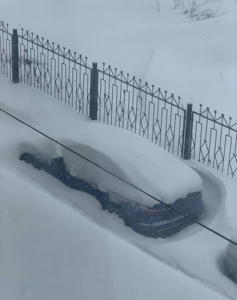 Фото с сайта "Липецк с огоньком". 