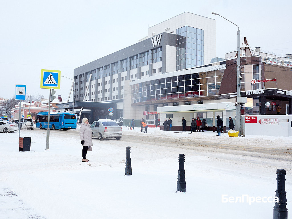     Фото: Елена Журавлёва