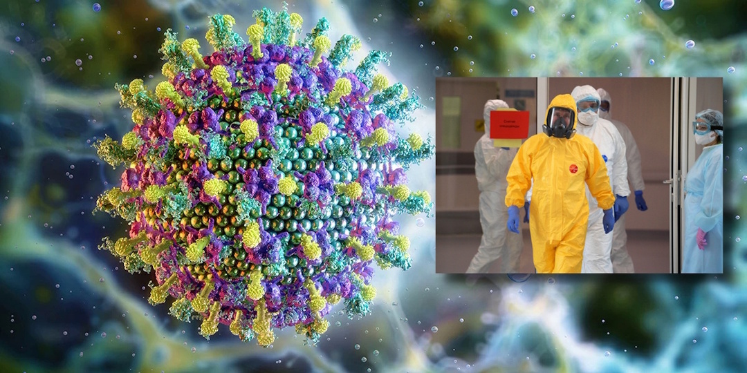 Вирус. Чем опасен для России новый вирус Нипах?