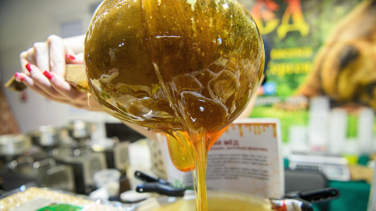 Фото: Ilya Moskovets/globallookpress.com