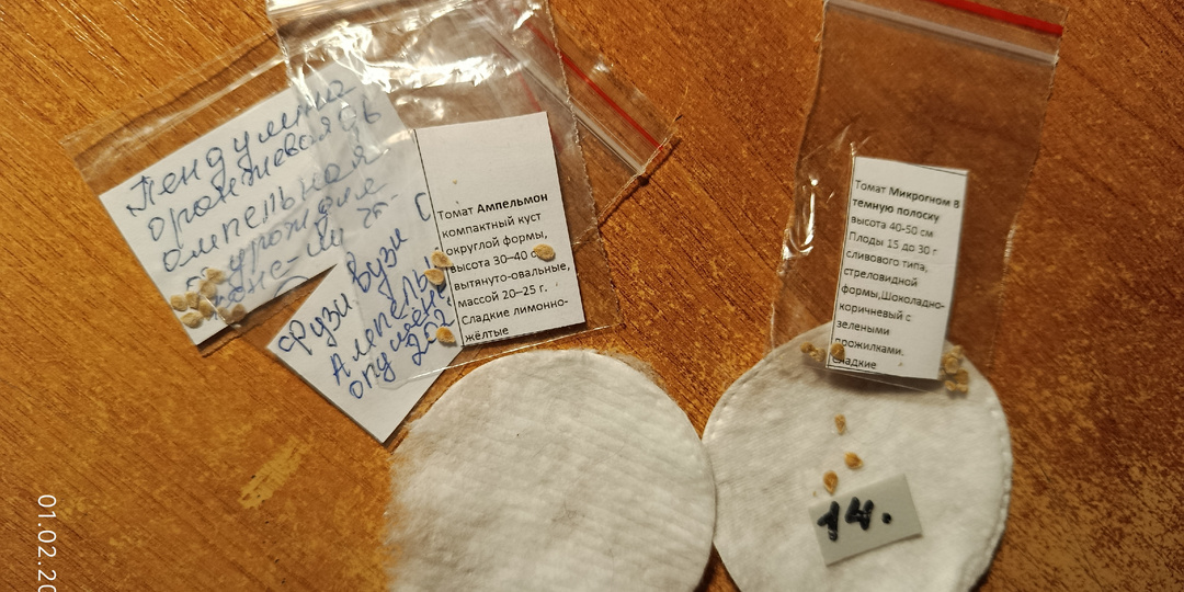 Моё первое ПРАВИЛО при посеве семян на рассаду