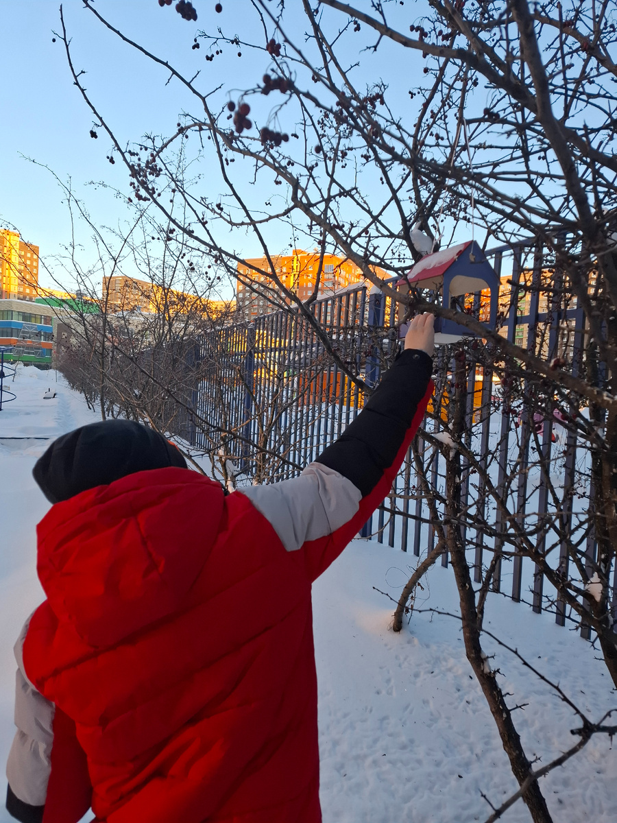 Делала фотки для школы. Акция: "покорми птиц". Мы их и так кормим, без всяких акций, но сегодня вот с фотоотчётом)