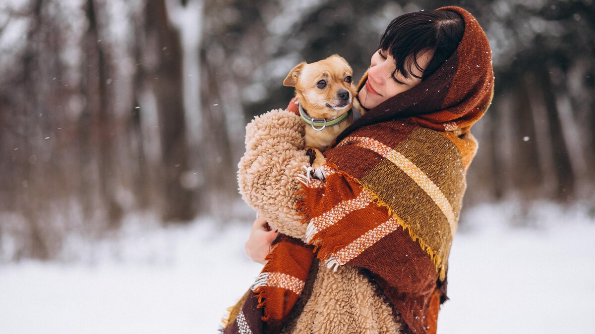    Фото: freepik.com/senivpetro