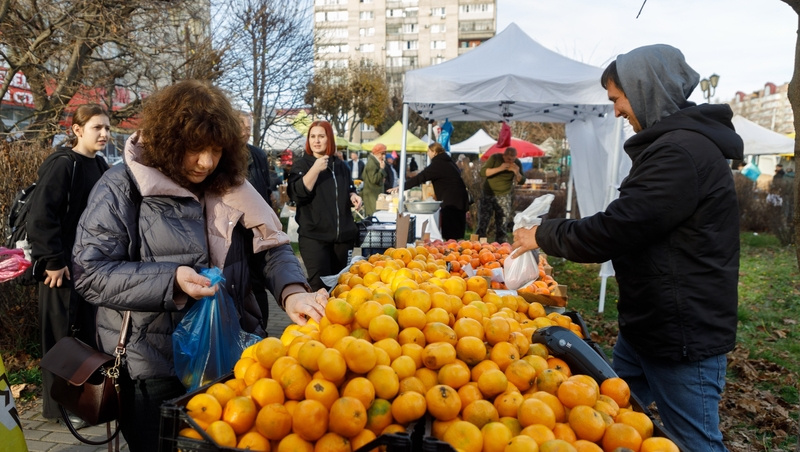      Фото: Дмитрий Ахмадуллин / / ИА «Победа26»