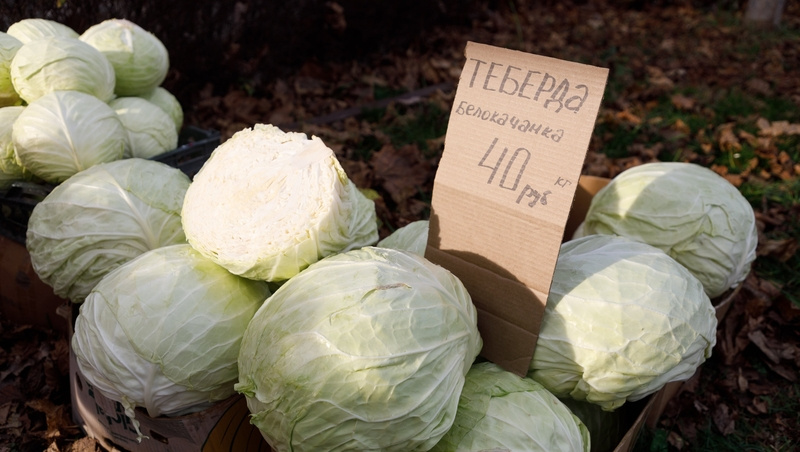    Ярмарки выходного дня пройдут на улице Васильева, 35/1 и на площади 200-летия Фото: Дмитрий Ахмадуллин / / ИА «Победа26»