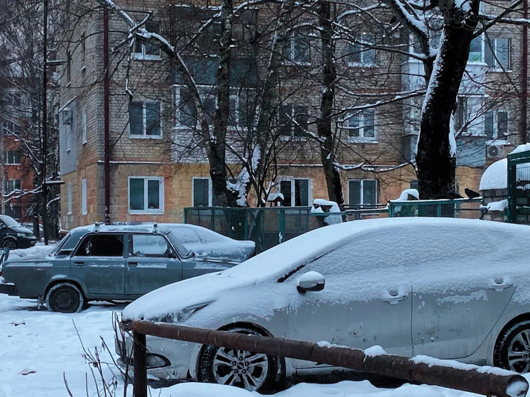     фото: екатерина лукашова / мк черноземье