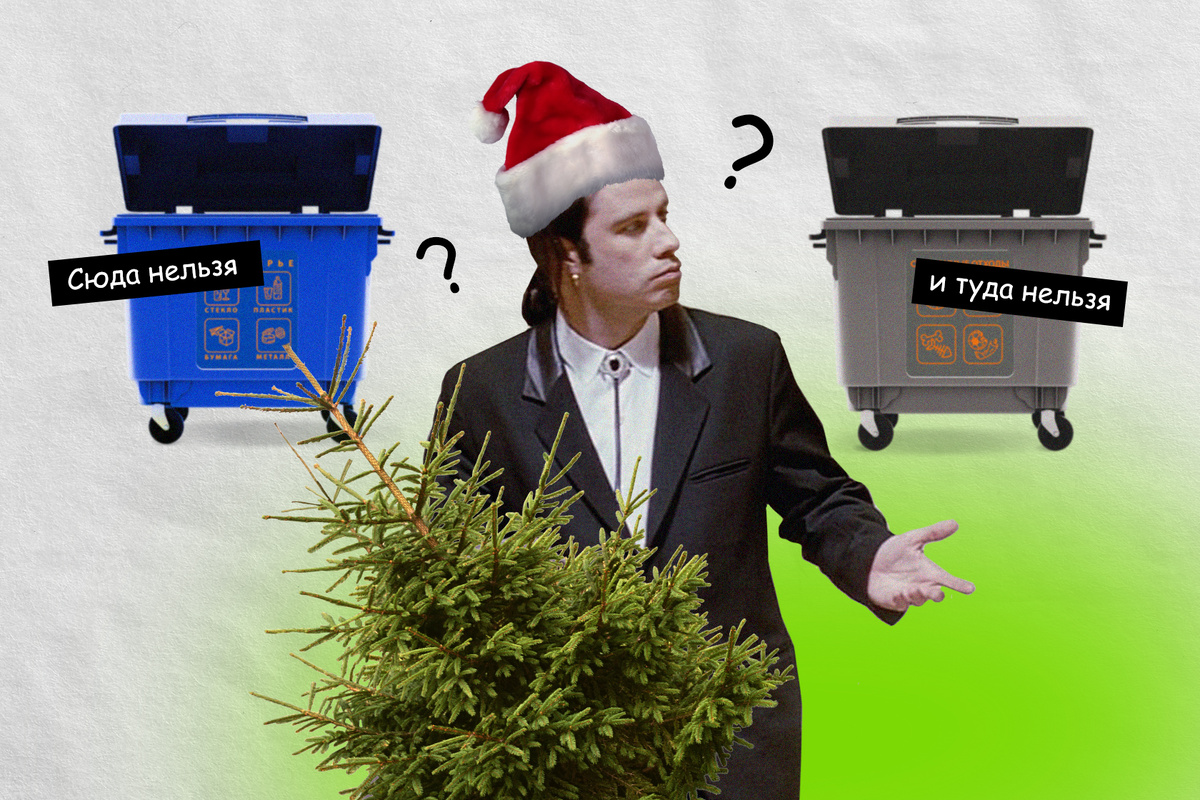    Вы всё это время выбрасывали ёлку неправильно! Узнайте, как утилизировать её после Нового года. Источник изображения: green.reo.ru