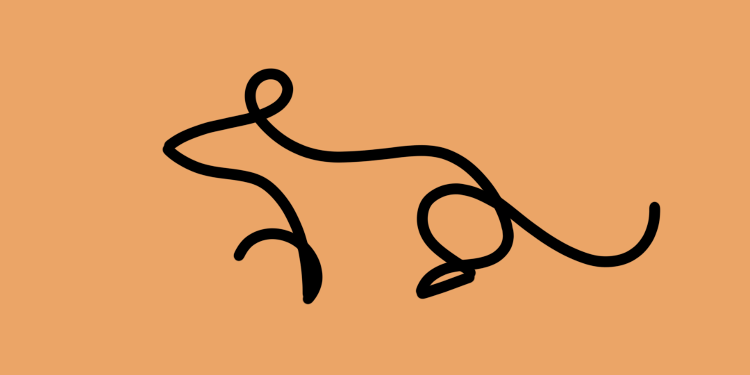 «Угадай, кто это?» №30