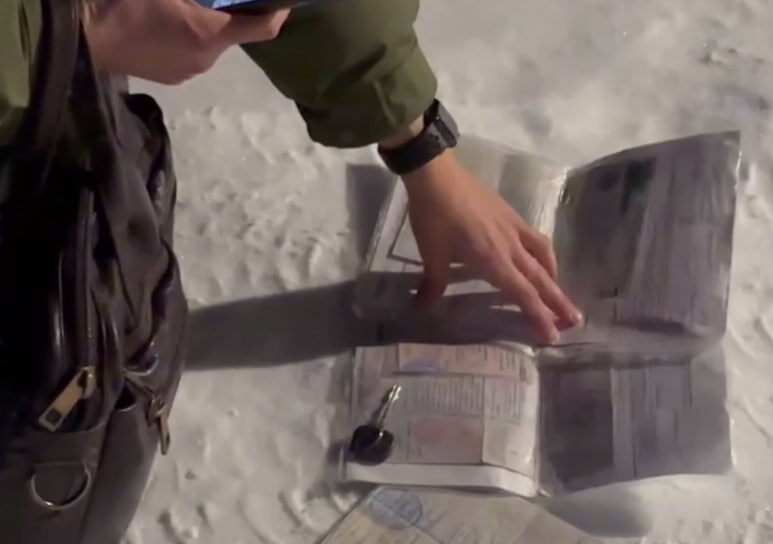    Фото: скриншот видео МВД