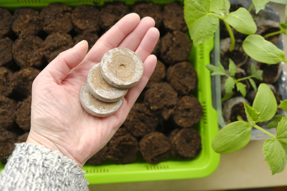    Shutterstock/FOTODOM