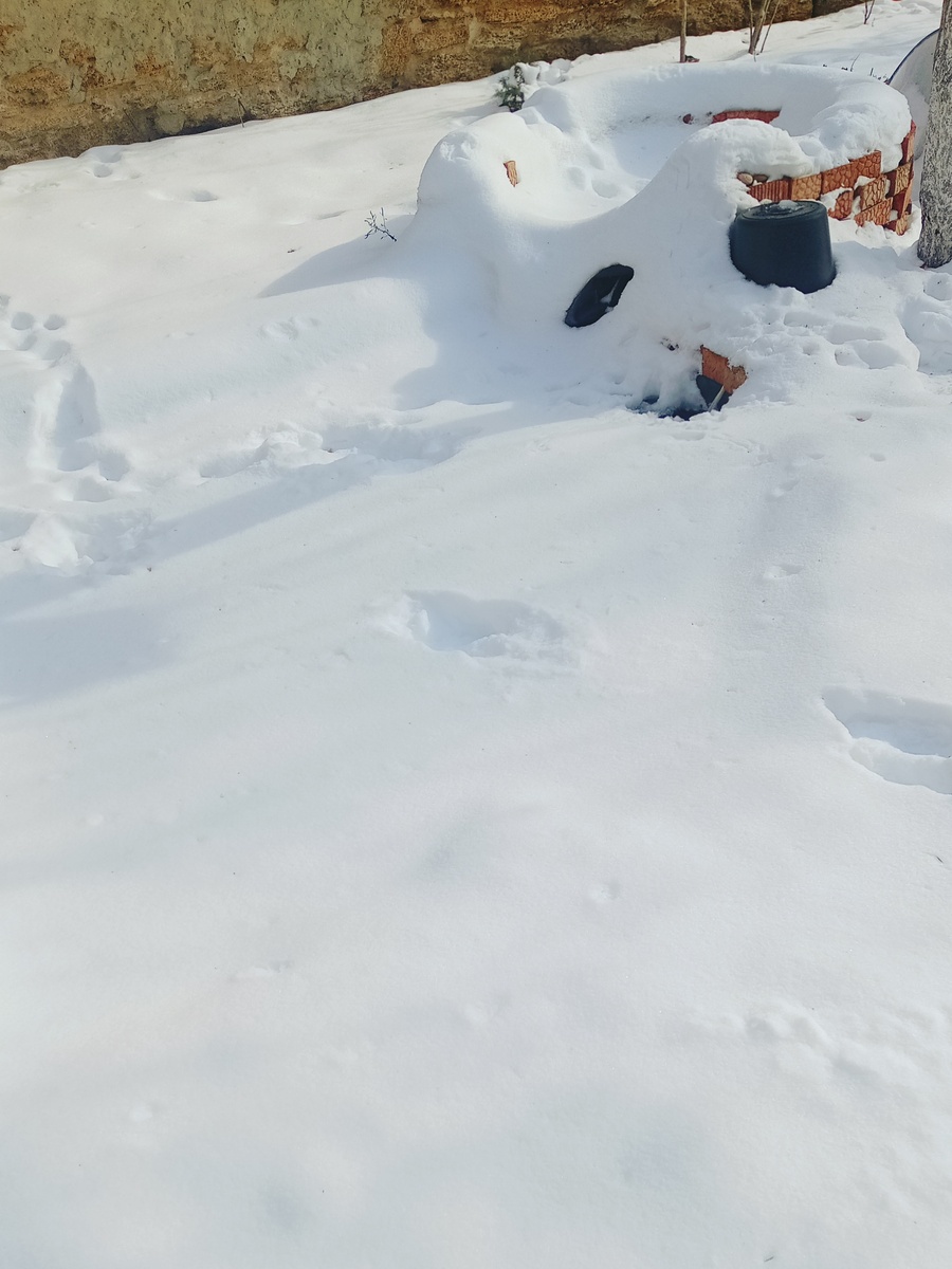 Пруд не различим под снегом