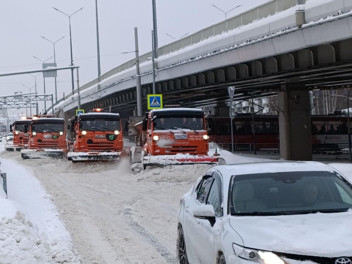    © Юлия Баталина