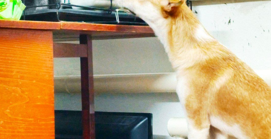 Проблемы с интернетом негативно влияют на возможность оперативно получать новости.