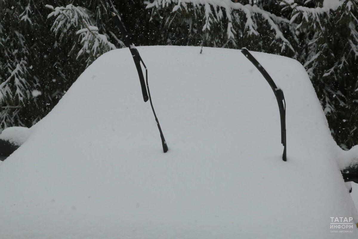 Фото: © Султан Исхаков / «Татар-информ»