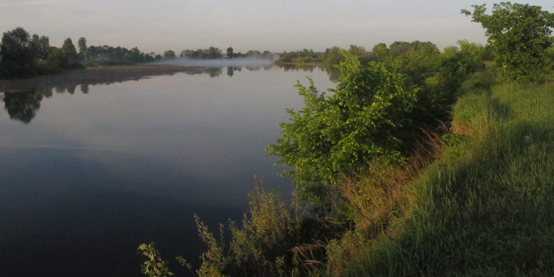 Мои итоги 25-е (71-е)