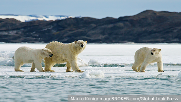     Фото: Marko Konig/imageBROKER.com/Global Look Press   
 Текст: Мария Иванова