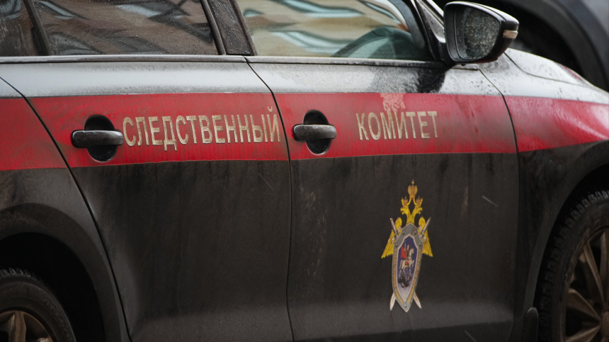    Фото: ИЗВЕСТИЯ/Сергей Лантюхов; 5-tv.ru