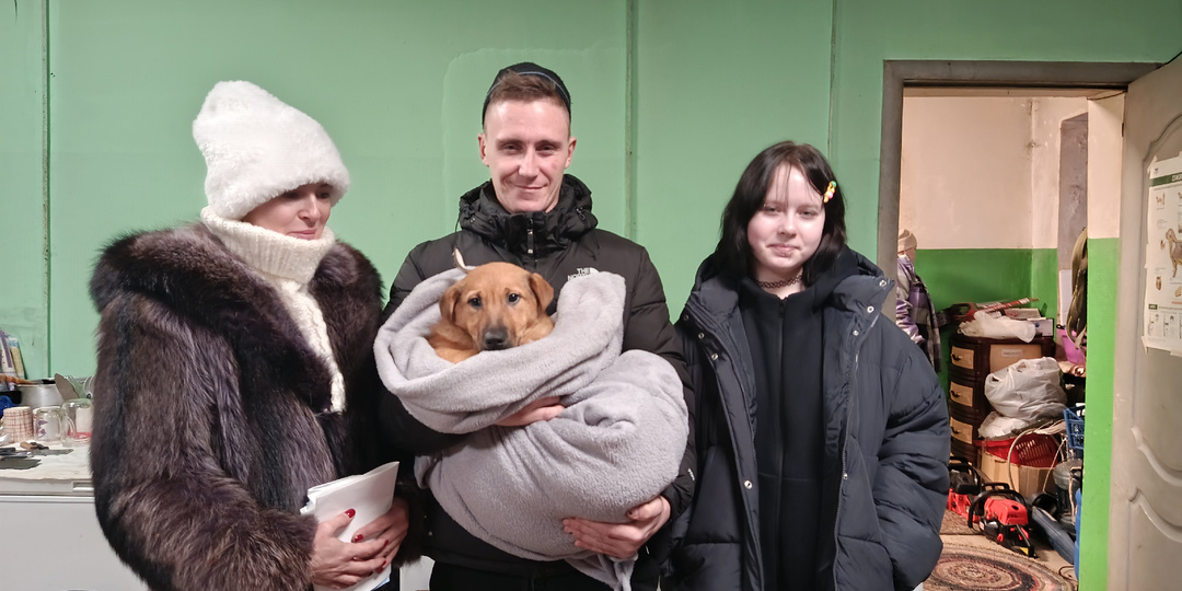 Второй щенок из весёлой 5 пошёл! Трое пока на старте