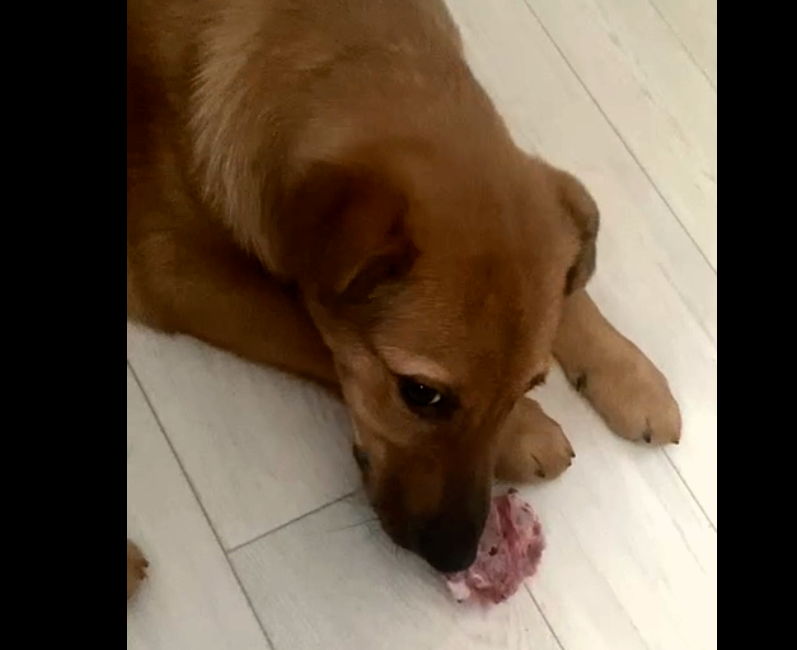 Приветики из дома