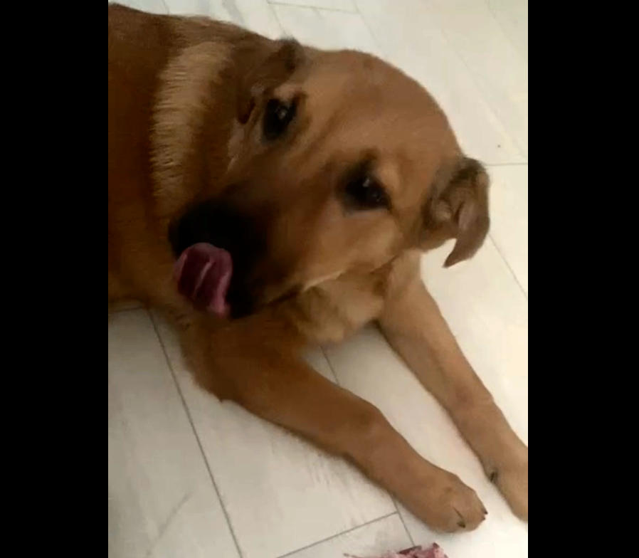 Что-то новое, непонятное