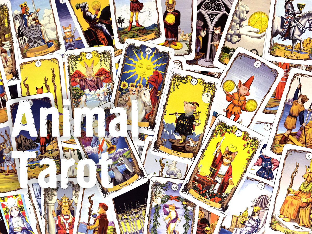 Чтобы изучить любую из картинок на этой странице в крупном виде, нажмите на неё правой кнопкой мышки и выберите в меню "Открыть в новой вкладке" (фото: моё)