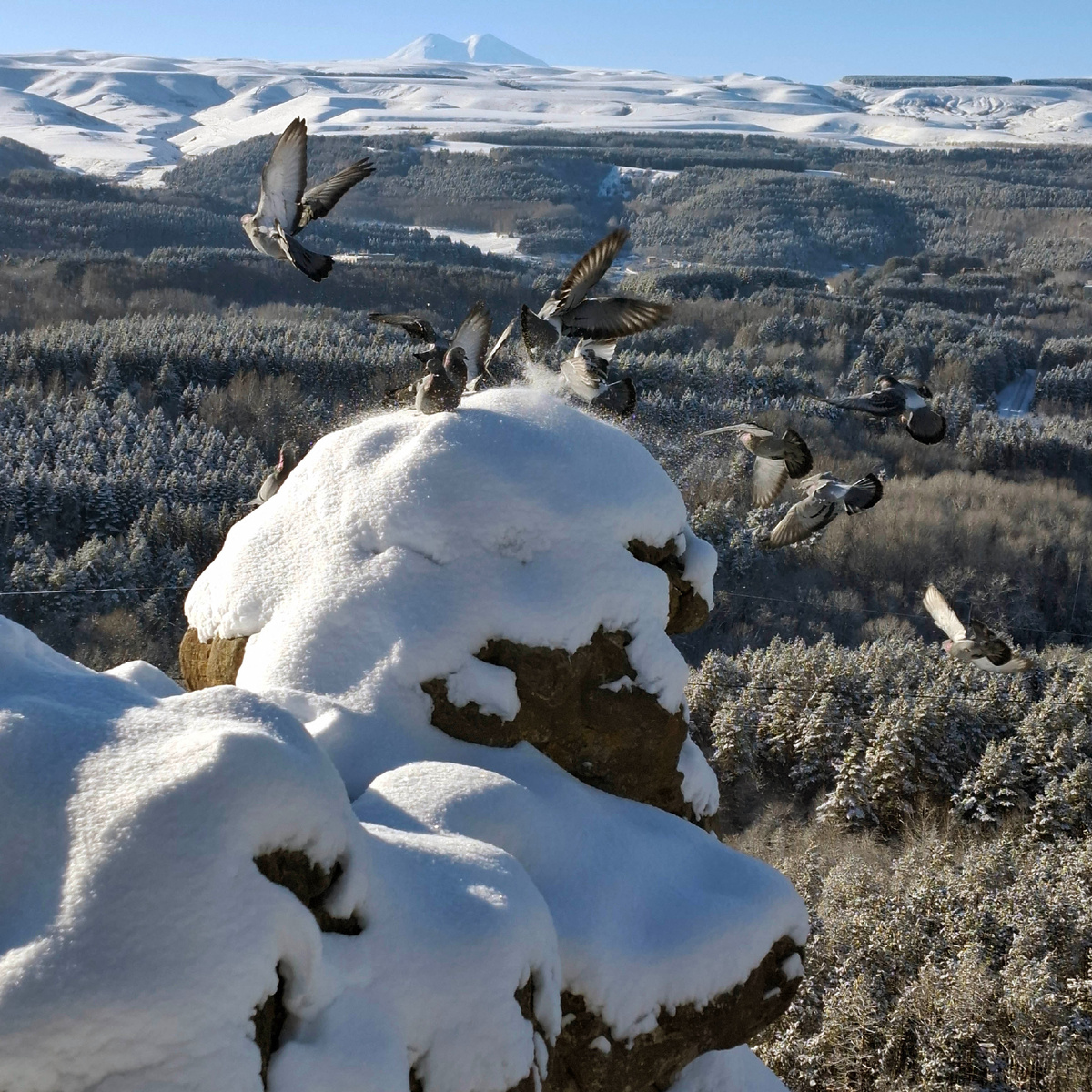 Вид на Эльбрус с терренкура №3 в Кисловодске. Фото автора.