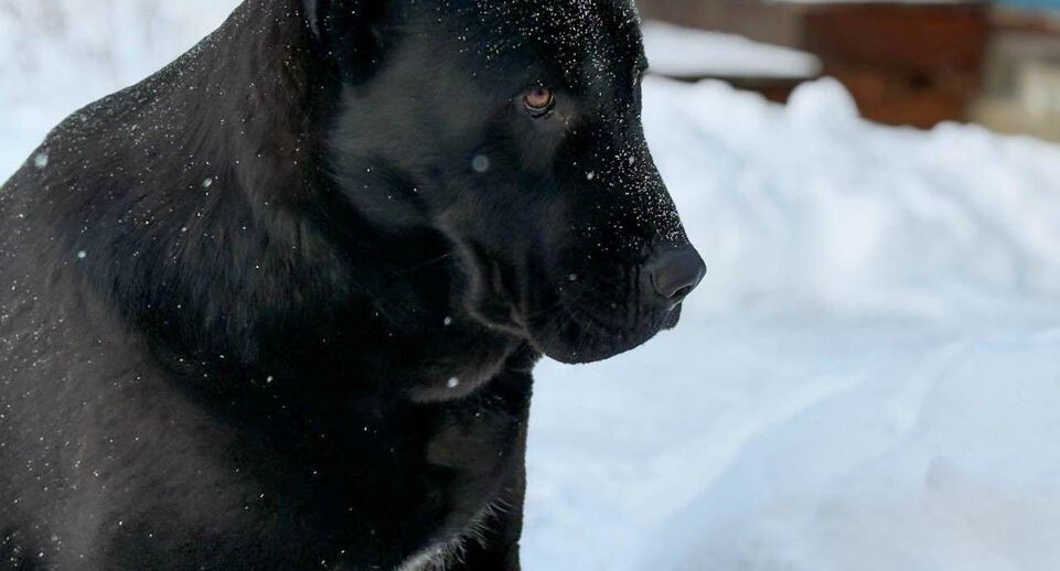    REGIONS/Полина Крачун