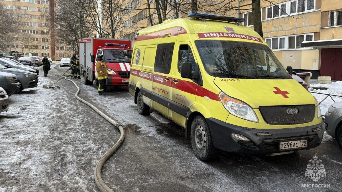    Фото: t.me/mchspetersburg