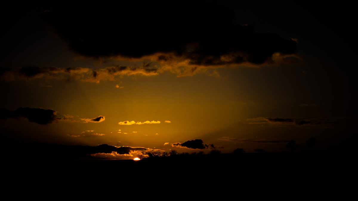 яндекс.картинки