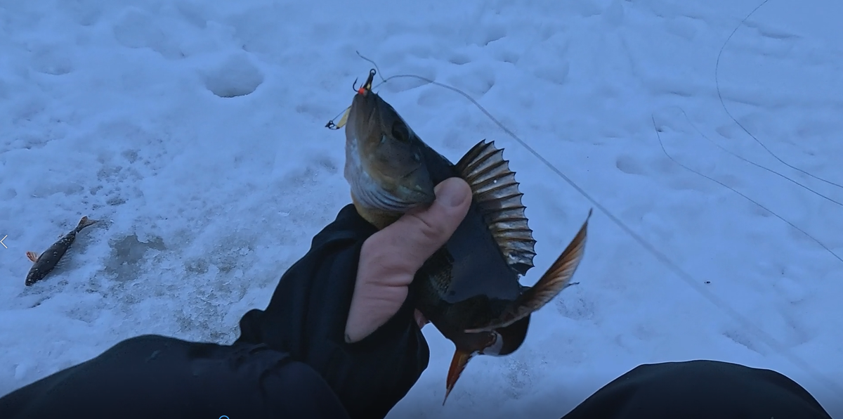 Я в их числе.