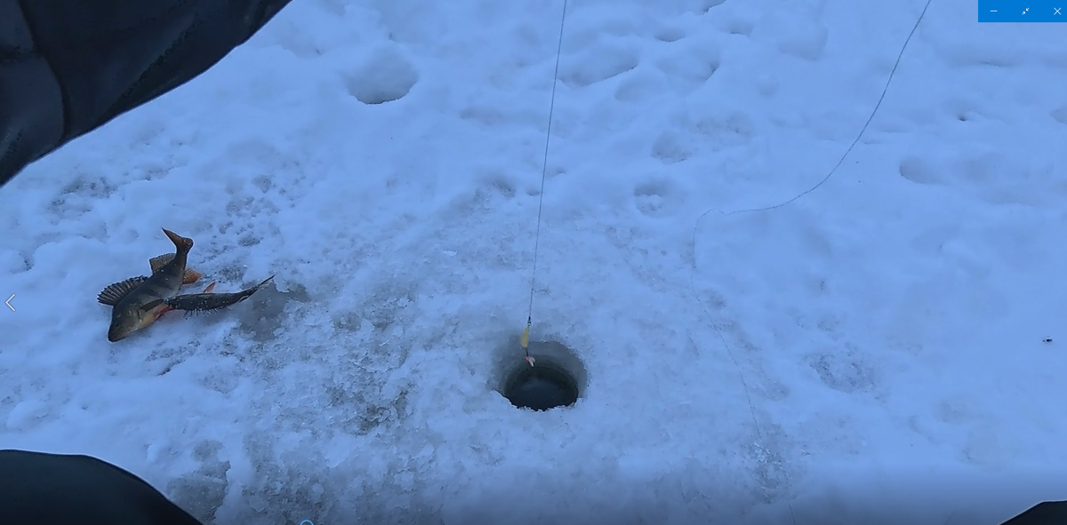 У меня есть секретные блесны.