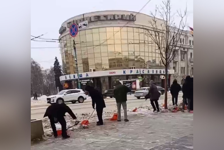     Фото: скрин видео, пресс-службы мэрии Воронежа и городского управления экологии