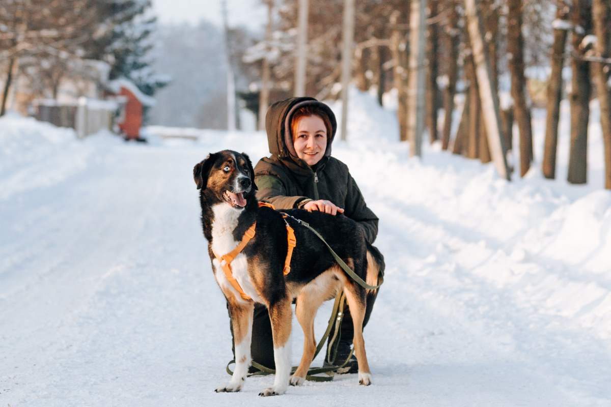 История известна, но расскажем ещё раз