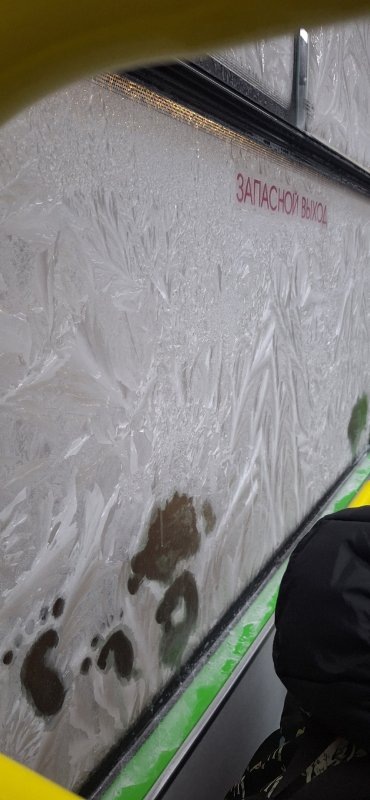     © фото - Светлана Пасечник, ВК Курский Край