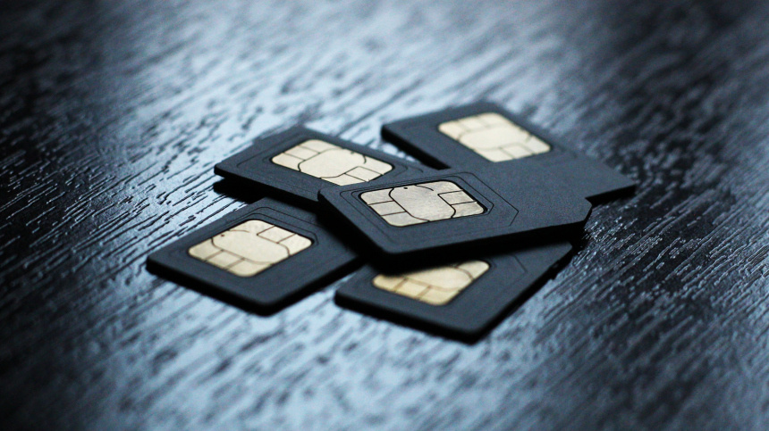    Фото: ИЗВЕСТИЯ/Юлия Майорова