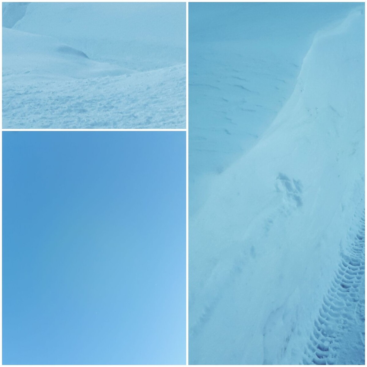 Коллаж автора статьи 30.01.2026г.