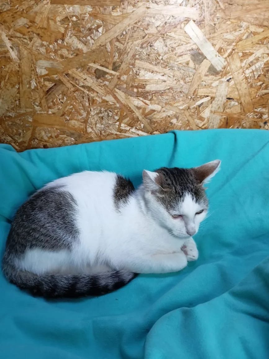 Стараюсь забыть все невзгоды