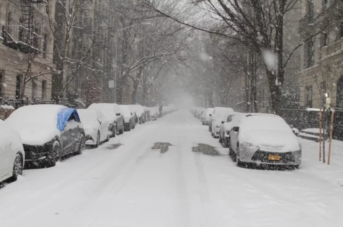    Число погибших из-за снежной бури и морозов в США увеличилось до 85