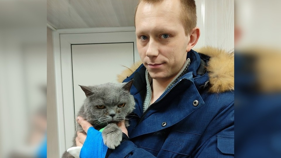 «Эта ночь могла стать последней»: кота Мурика оставили погибать в сугробе прямо на подушечке, на которой он жил дома