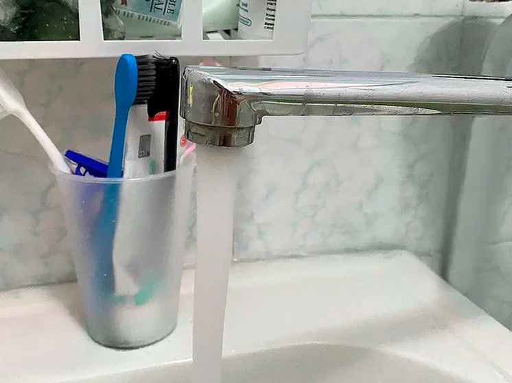     фото: екатерина лукашова / мк черноземье