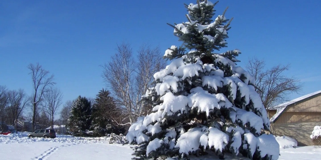 Топ-5 российских акций для долгосрочных инвесторов в 2026 году.