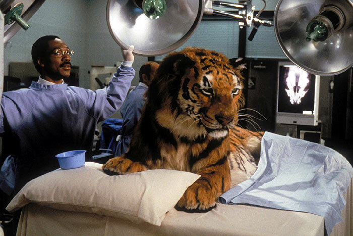 (источник: kinopoisk.ru)