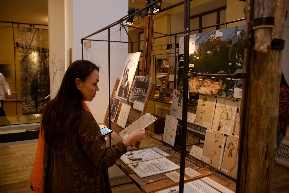 Фото:
 Национальный музей Марий Эл им. Т. Евсеева