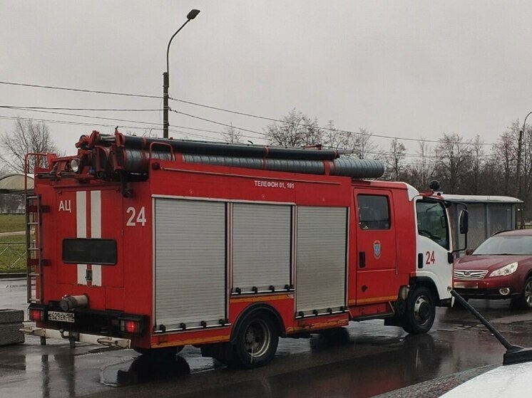     фото: архив мк в Мурманске.